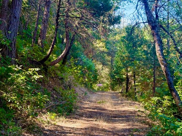 17500 Winding Oaks Road Grass Valley, CA 95949 - Photo 53 of 55 Easement road to creek access