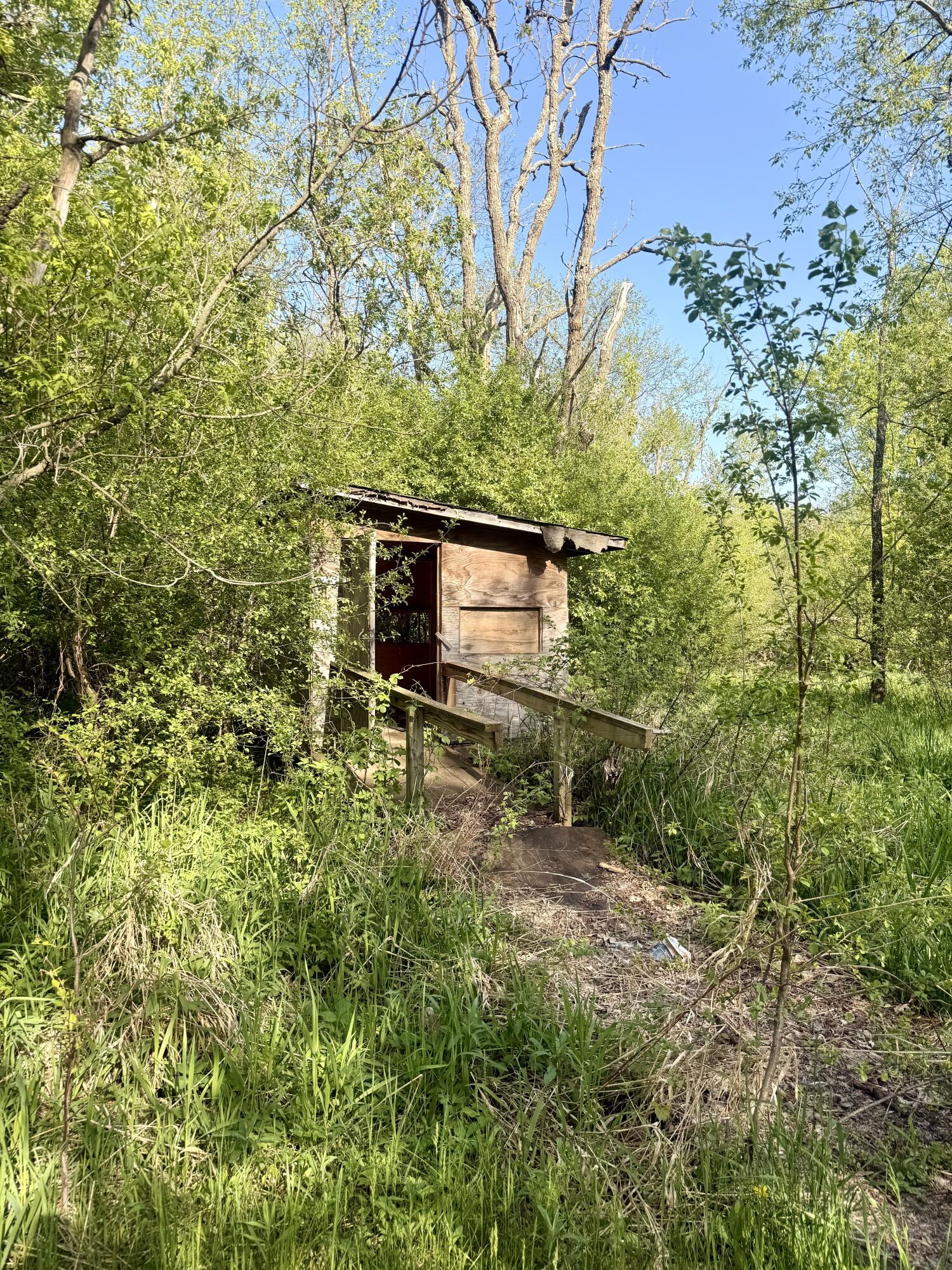 W16875 State Highway 95 Springfield, WI 54659 - Photo 11 of 22 Blind