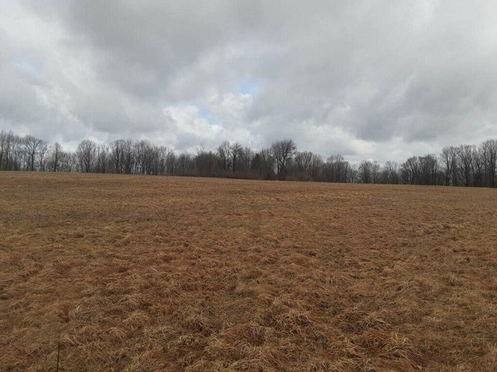 38-acres East Hazel Road Hart, MI 49420 - Photo 7 of 12 imagejpeg_1 (3)
