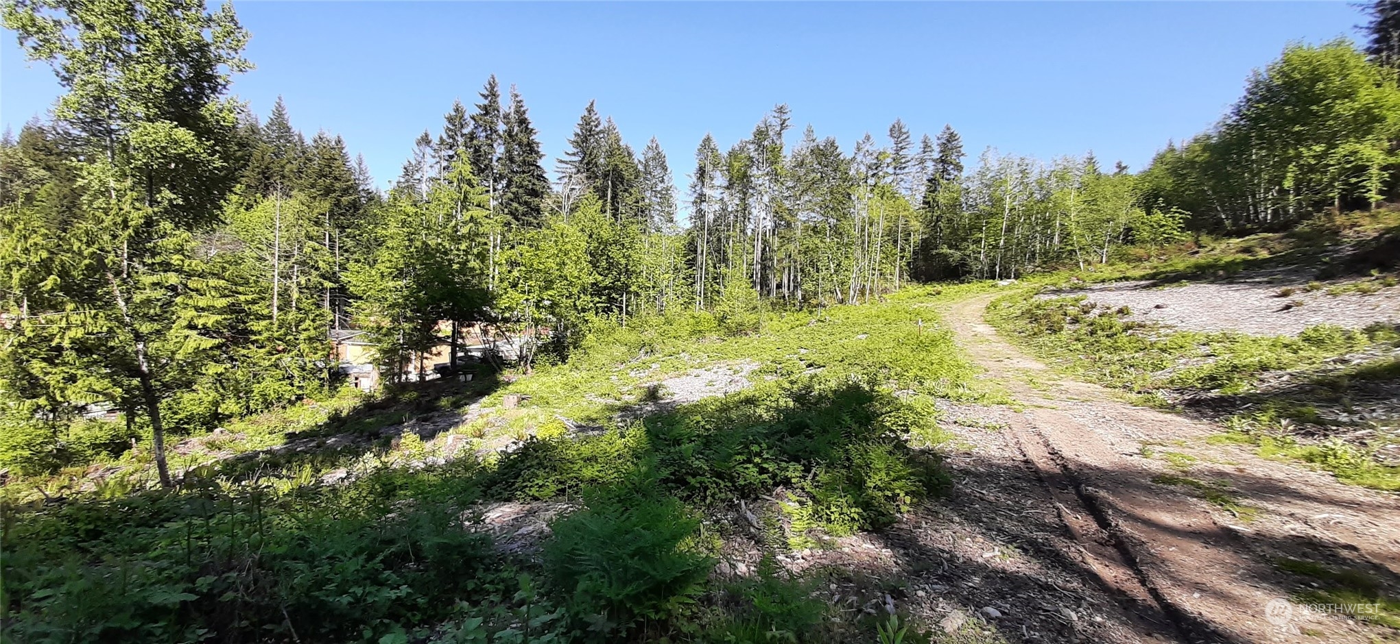 261 Northeast W J Way Belfair, WA 98528 - Photo 4 of 5 a view of a yard with a tree