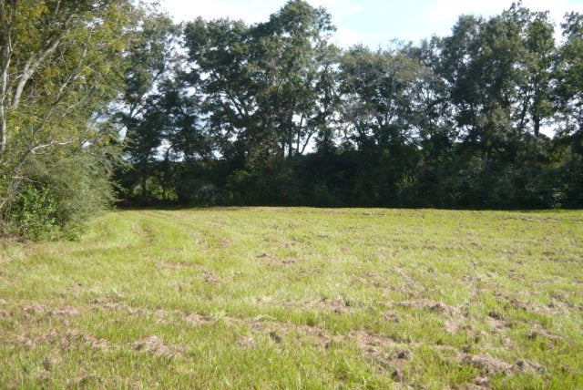 12-ac Cool Springs Road Opp, AL 36467 - Photo 2 of 14 Gallery Image 2