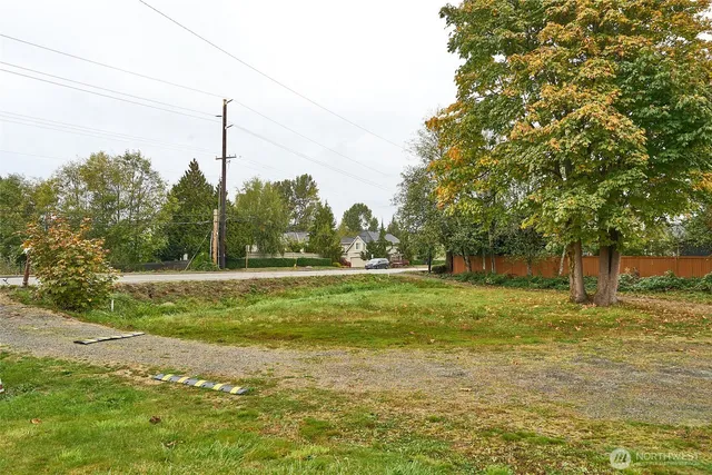 a view of a garden with large trees