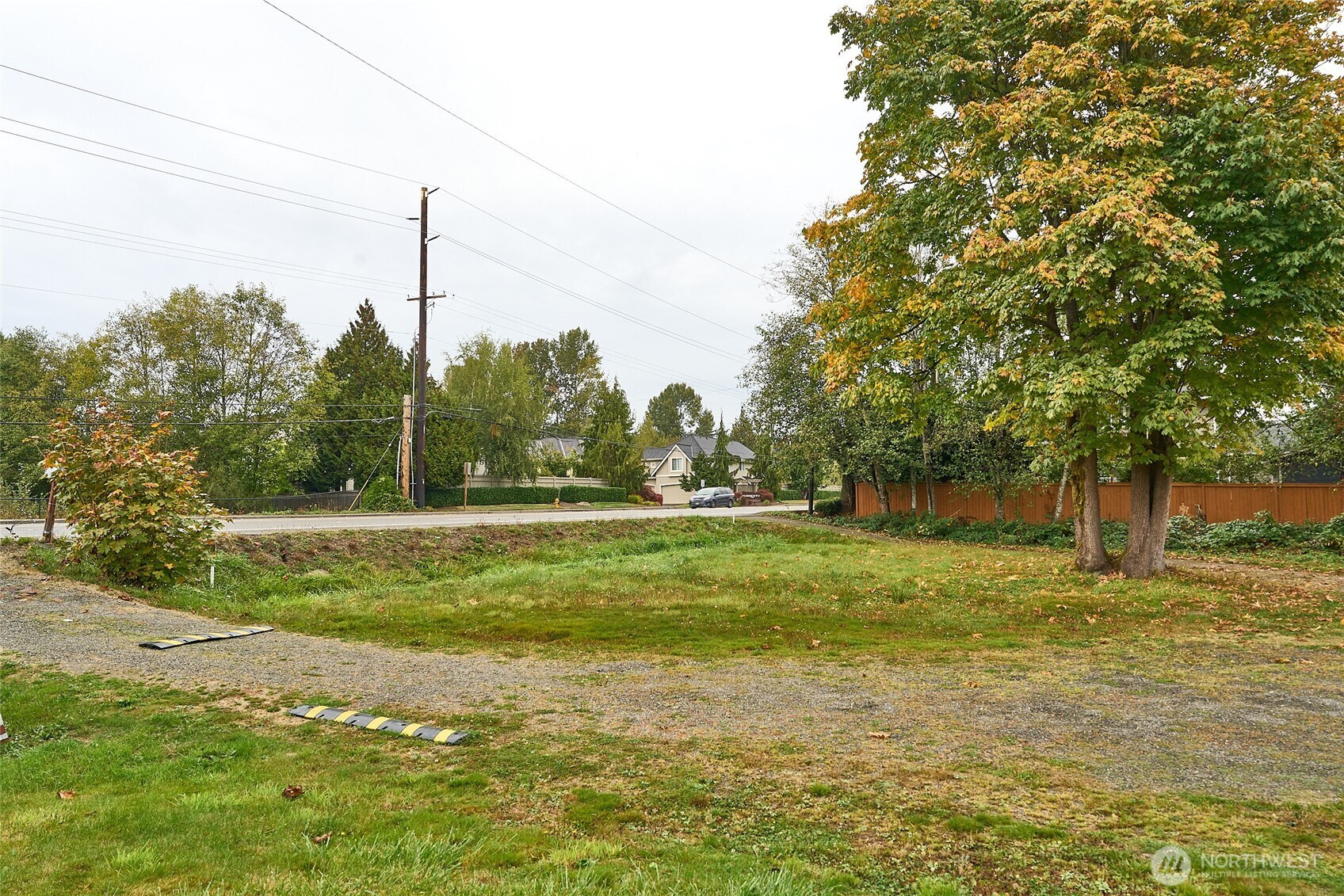 a view of a garden with large trees