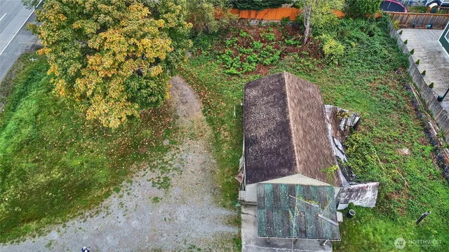 a view of a yard with plants and large trees