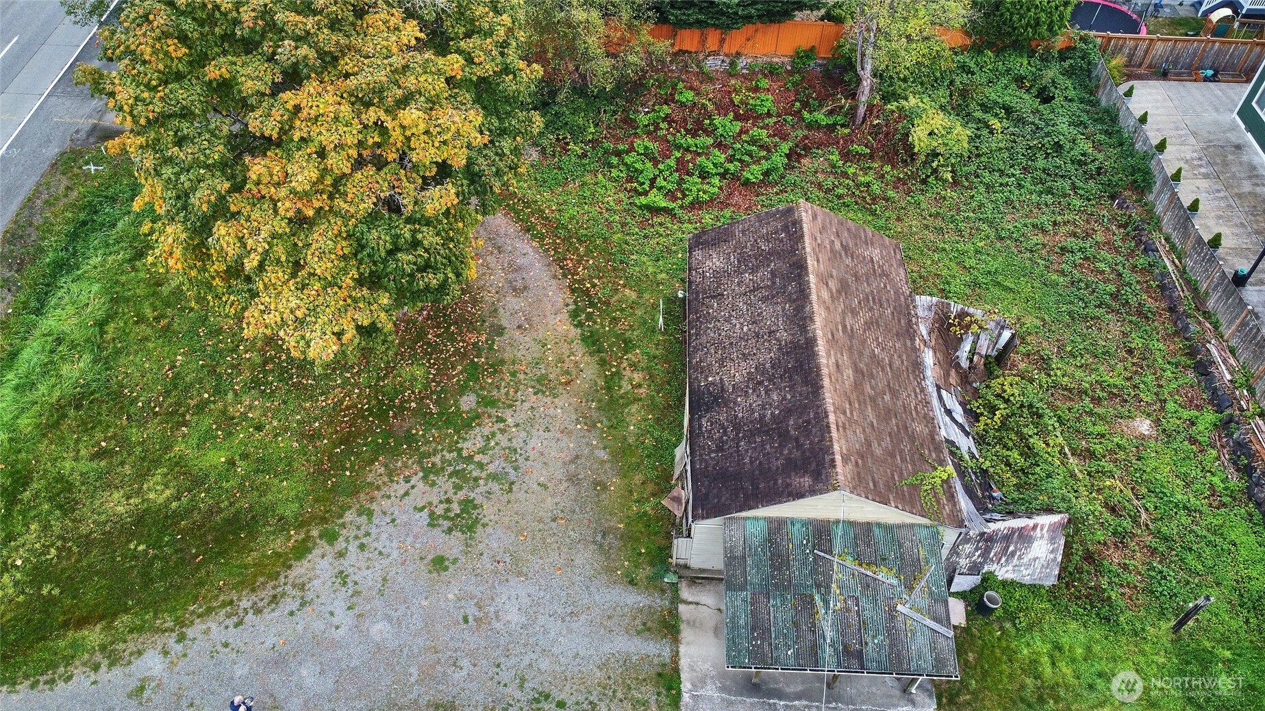 54-xx Northeast 4th Street Renton, WA 98059 - Photo 11 of 13 a view of a yard with plants and large trees
