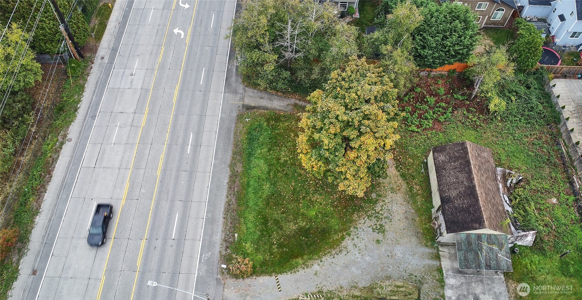 54-xx Northeast 4th Street Renton, WA 98059 - Photo 12 of 13 a view of a backyard with potted plants