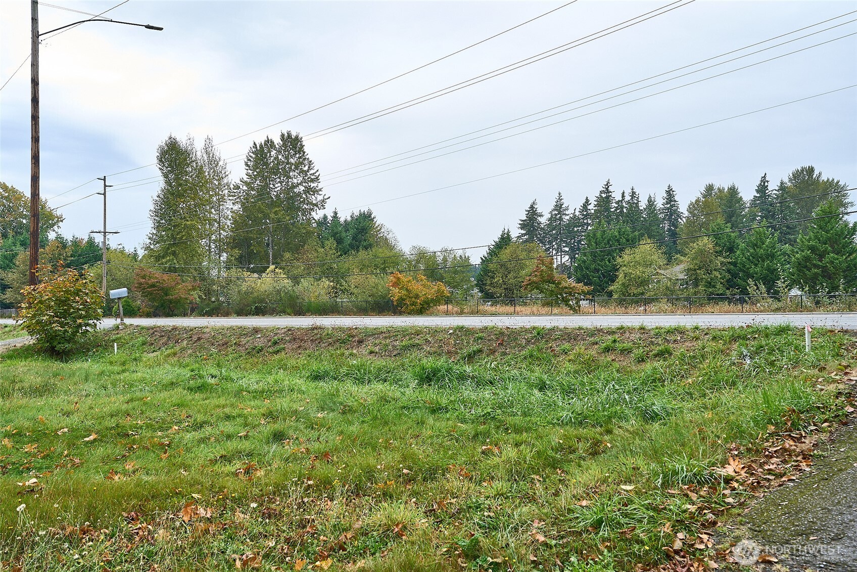 54-xx Northeast 4th Street Renton, WA 98059 - Photo 2 of 13 a yard with lots of green space and trees