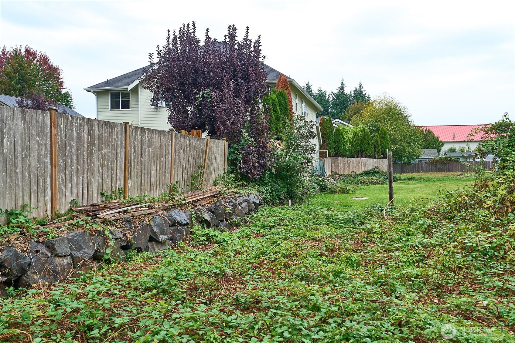 54-xx Northeast 4th Street Renton, WA 98059 - Photo 4 of 13 a view of a back yard