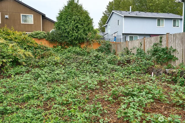 a backyard of a house with plants and trees