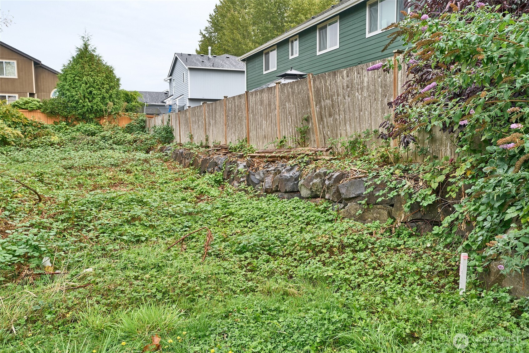 54-xx Northeast 4th Street Renton, WA 98059 - Photo 6 of 13 a view of a backyard with potted plants and large tree