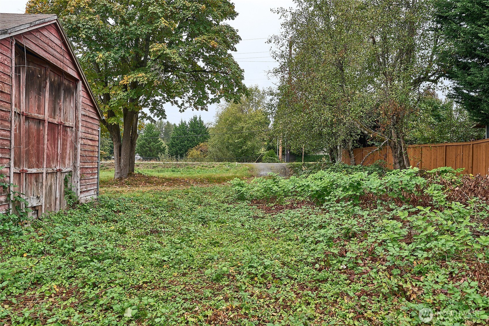 54-xx Northeast 4th Street Renton, WA 98059 - Photo 8 of 13 a view of a backyard with plants