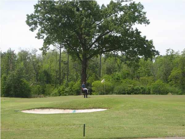 Another Golf Course View