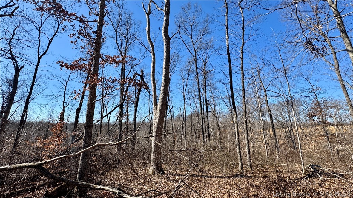 387 West Zoo Road English, IN 47118 - Photo 29 of 34