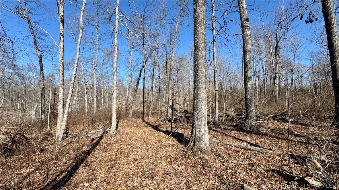 387 West Zoo Road English, IN 47118 - Photo 30 of 34