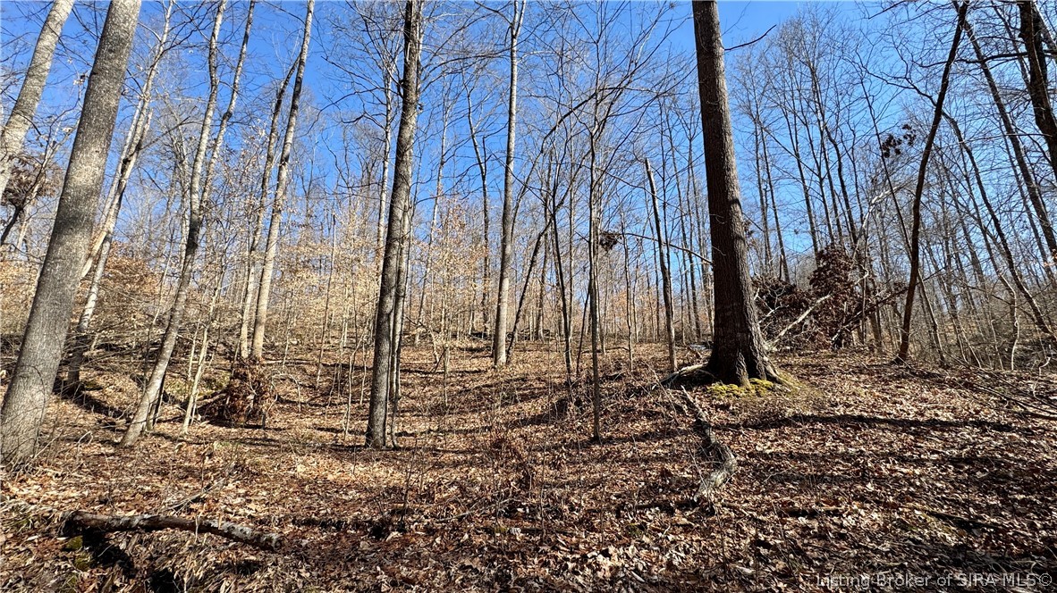 387 West Zoo Road English, IN 47118 - Photo 33 of 34