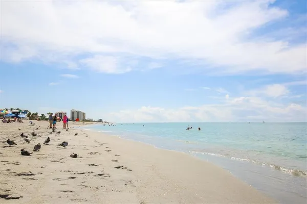 a view of street with potted plants