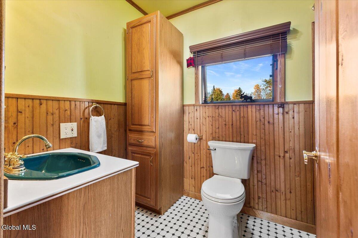 387 Chamberlain Road Indian Lake, NY 12842 - Photo 29 of 52 11-IMG_5275