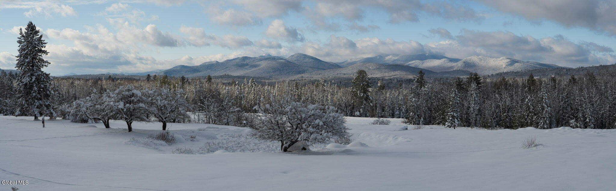 387 Chamberlain Road Indian Lake, NY 12842 - Photo 51 of 52 8485074189367631501