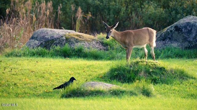 387 Chamberlain Road Indian Lake, NY 12842 - Photo 52 of 52 3552193813872493705