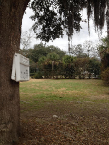 0 Hollings Road Charleston, SC 29412 - Photo 1 of 1 corner lot