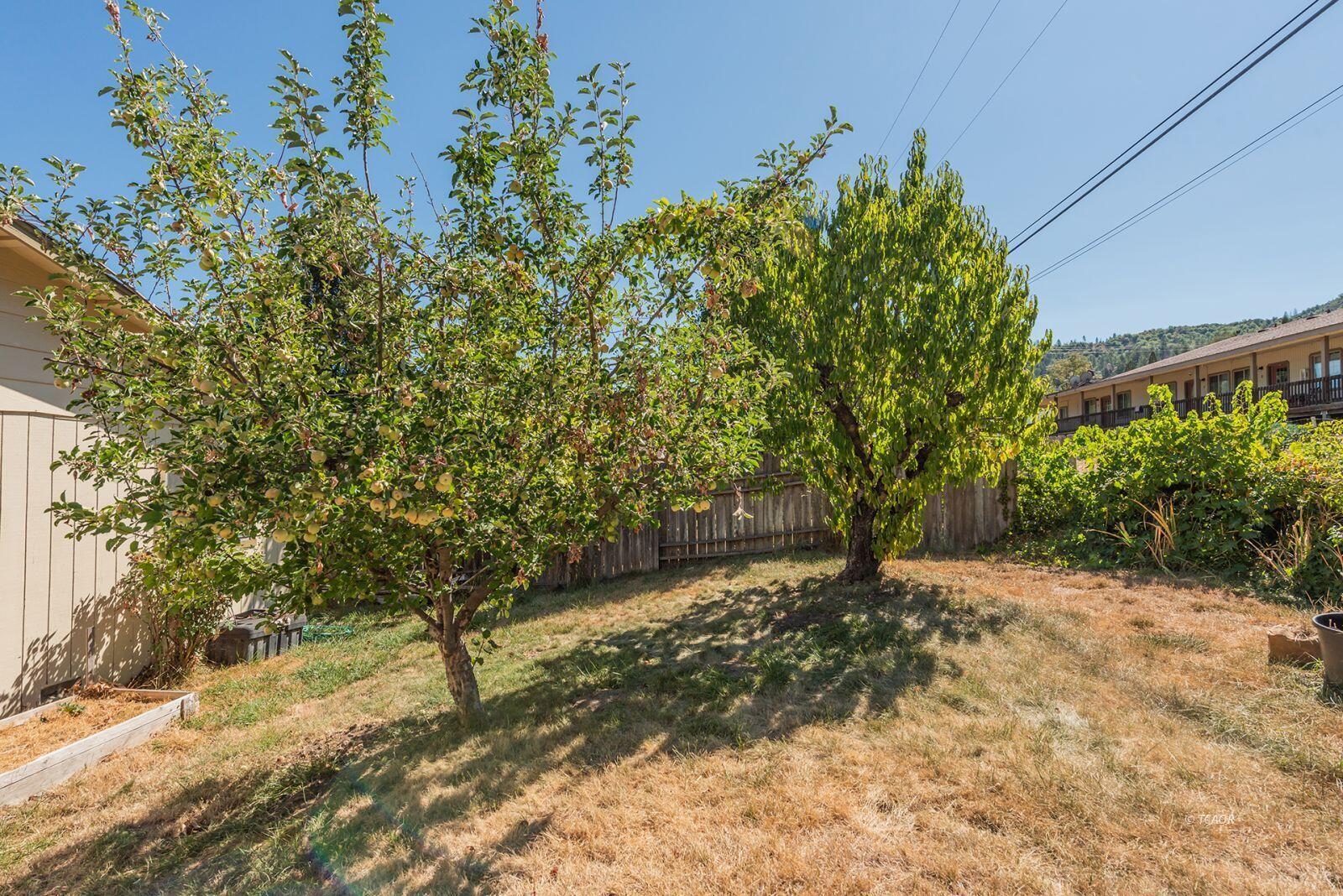 10 2nd Avenue Lewiston, CA 96052 - Photo 34 of 41 a view of a yard with plants and trees