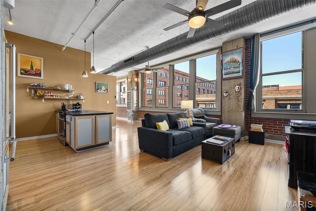 1627 Locust Street, Unit 402 St. Louis, MO 63103 - Photo 11 of 53