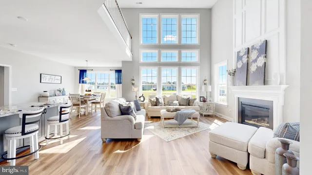 a living room with furniture or couch and a fireplace