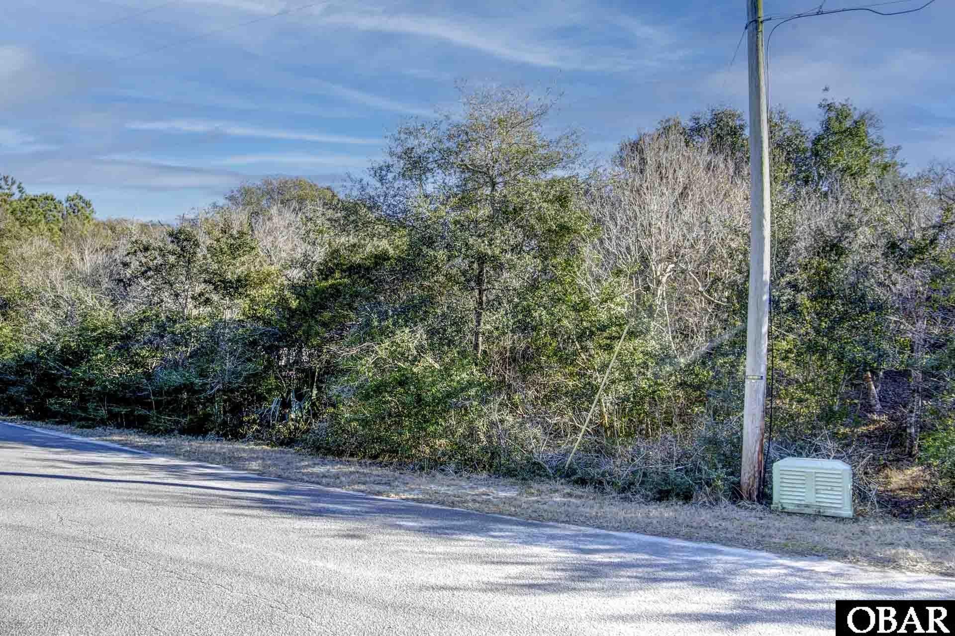 0 Ridge Trail Buxton, NC 27920 - Photo 11 of 14