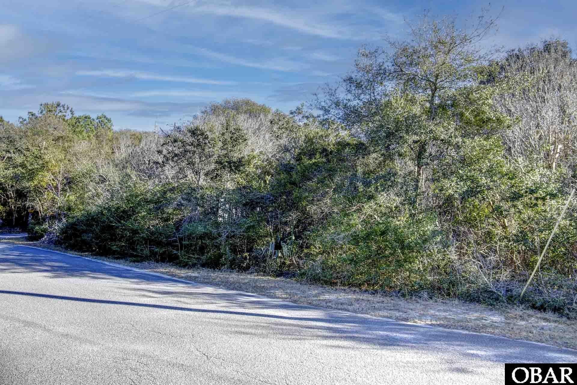 0 Ridge Trail Buxton, NC 27920 - Photo 3 of 14