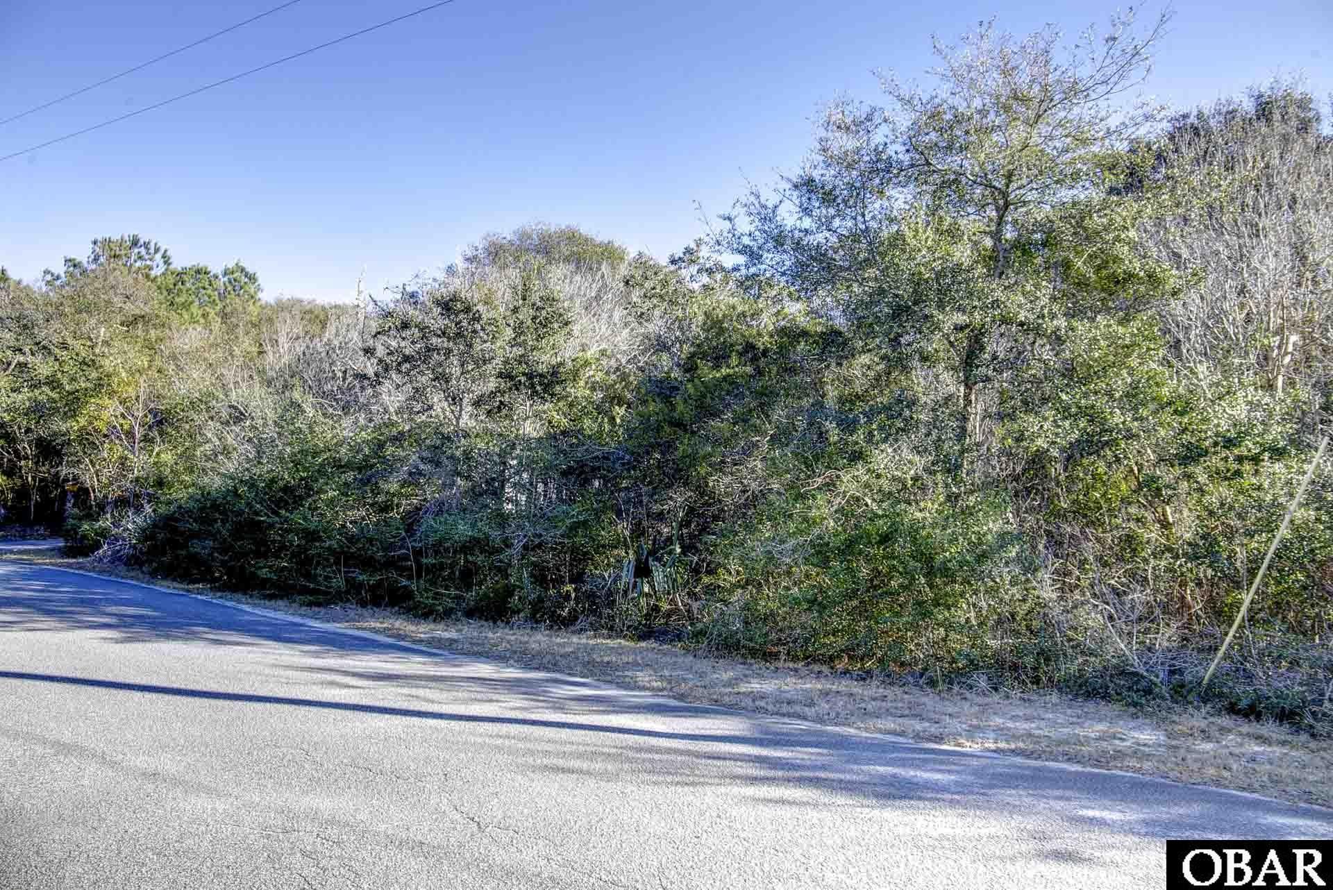 0 Ridge Trail Buxton, NC 27920 - Photo 4 of 14