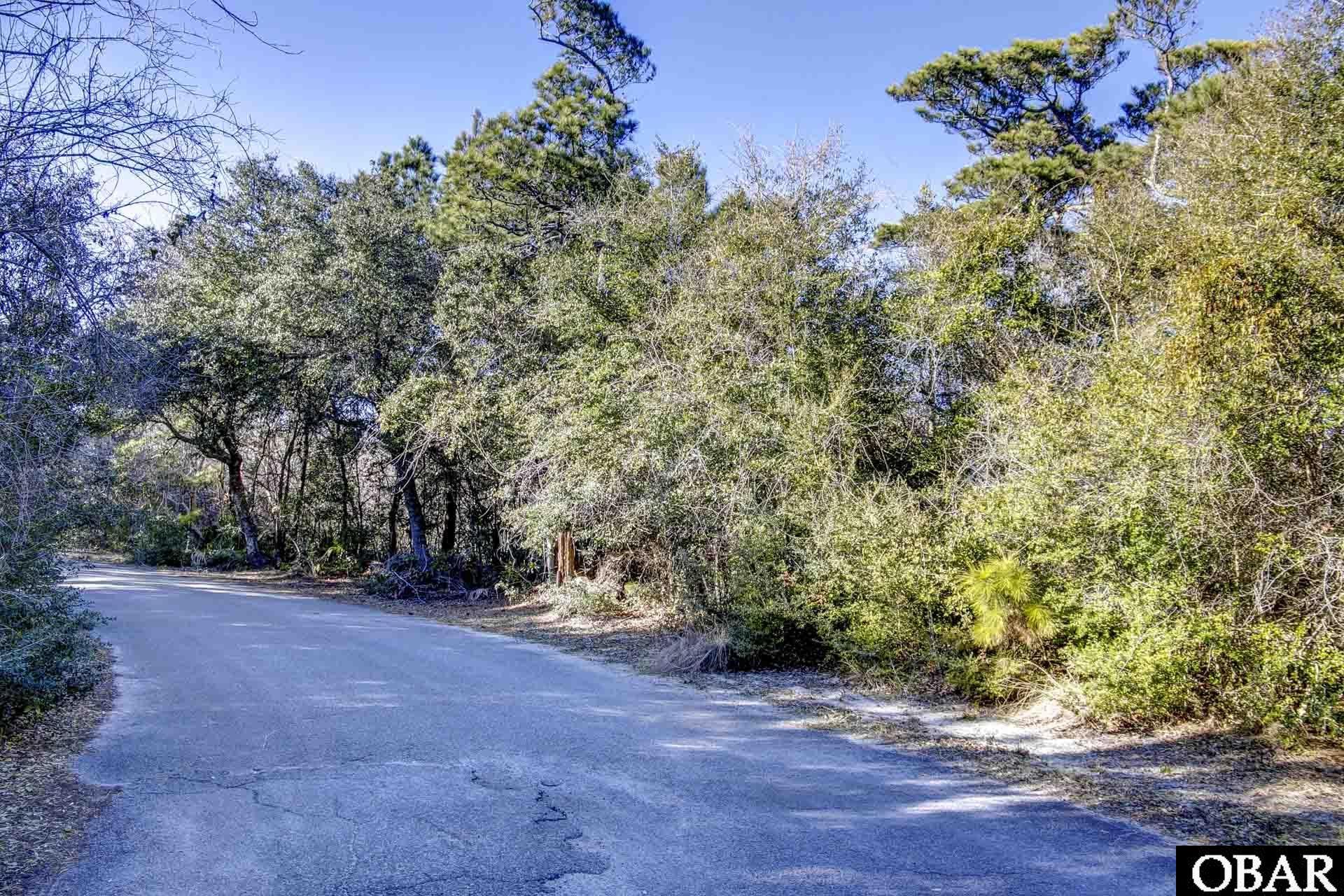 0 Ridge Trail Buxton, NC 27920 - Photo 6 of 14