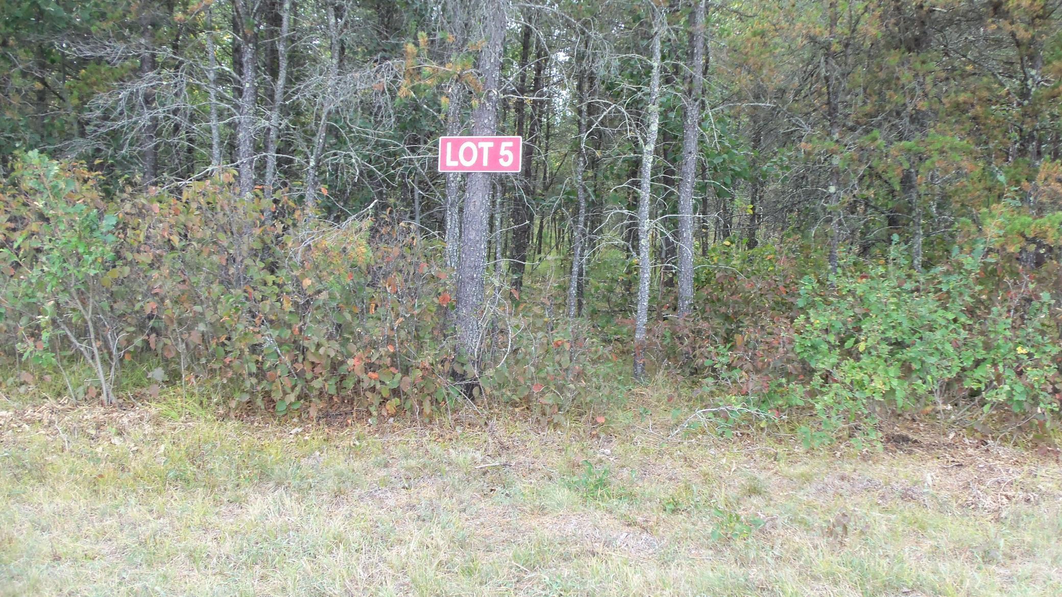 Lot 5 3 Mile Road Minong, WI 54859 - Photo 1 of 1 Gallery Image 1