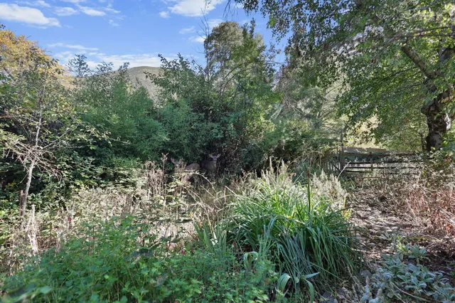 a view of yard with lake