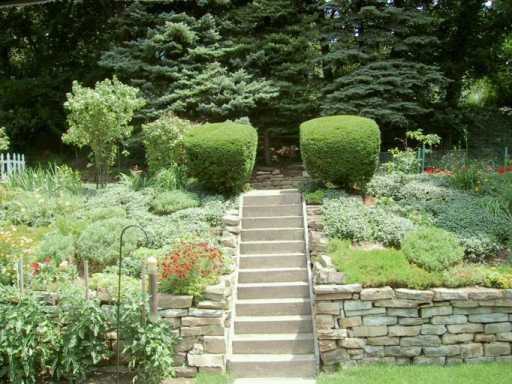 812 Limecrest Road Pittsburgh, PA 15221 - Photo 8 of 8 Yard/Garden.