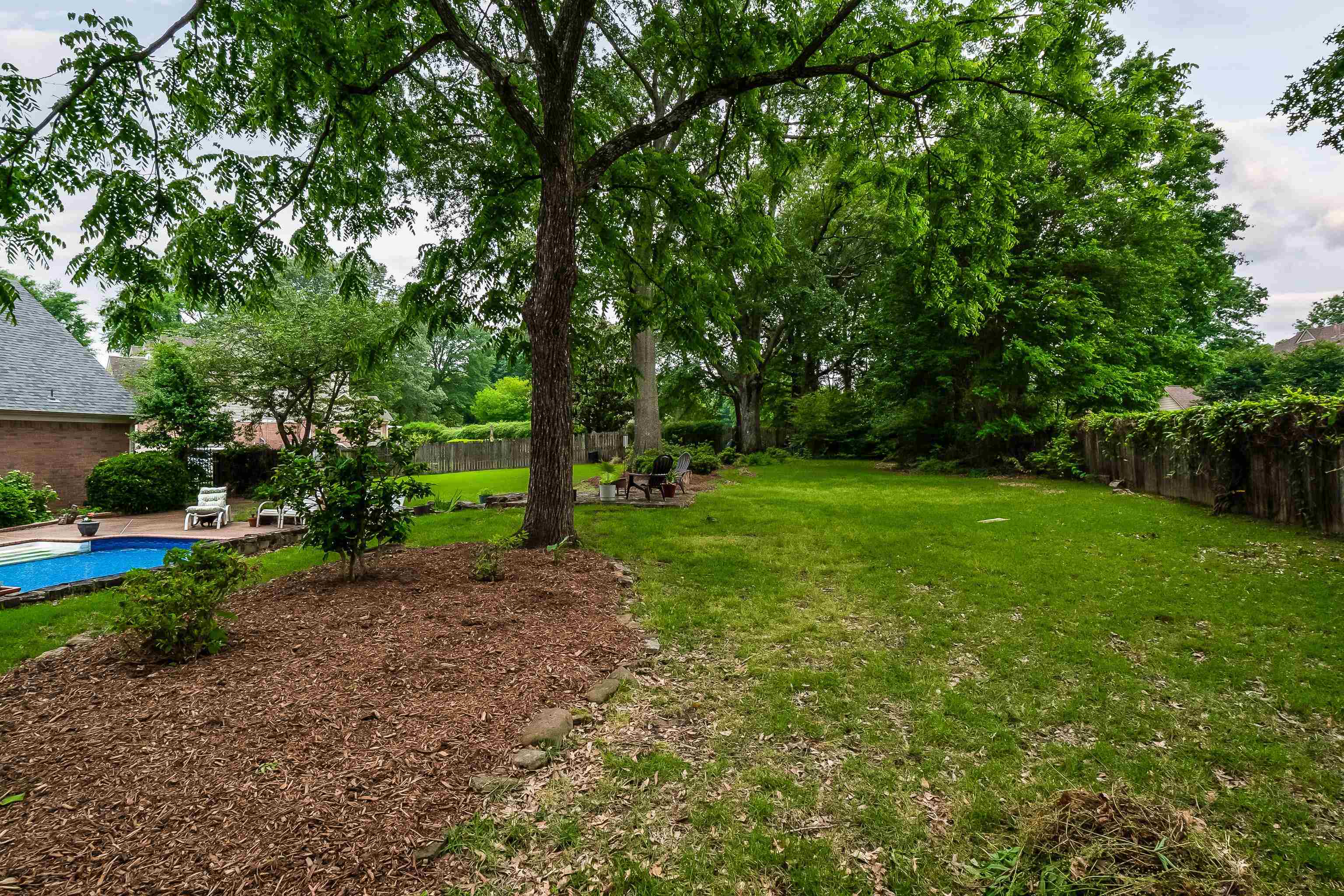 1050 Crosswinds Cove Collierville, TN 38017 - Photo 10 of 40 a view of a park with trees in the background
