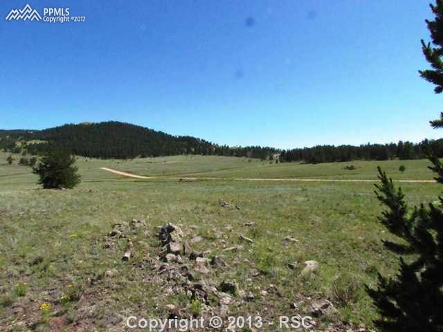 1360 Julia Road Guffey, CO 80820 - Photo 8 of 18
