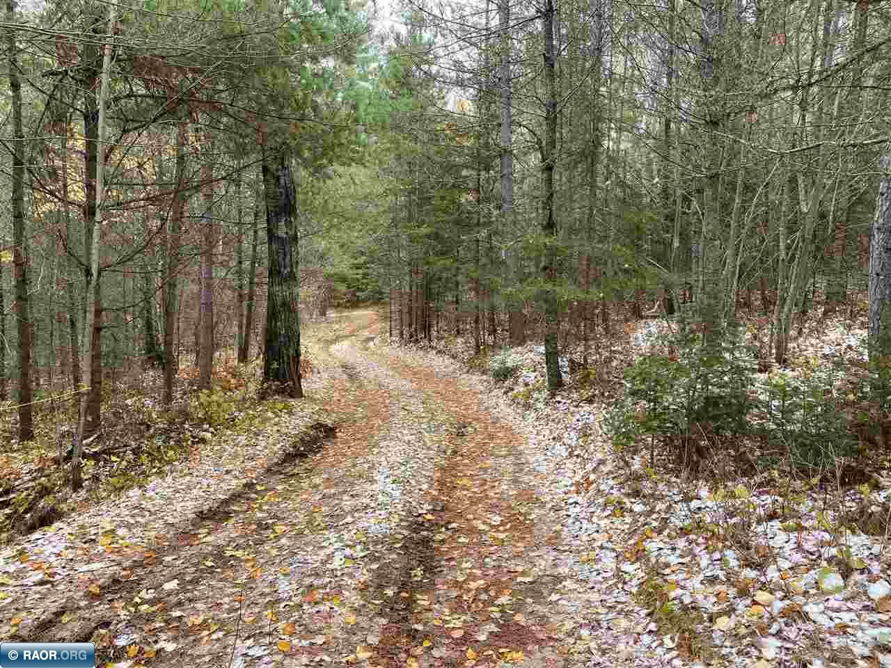 3098 Wolf Lake Road Ely, MN 55731 - Photo 3 of 19 Gallery Image 3