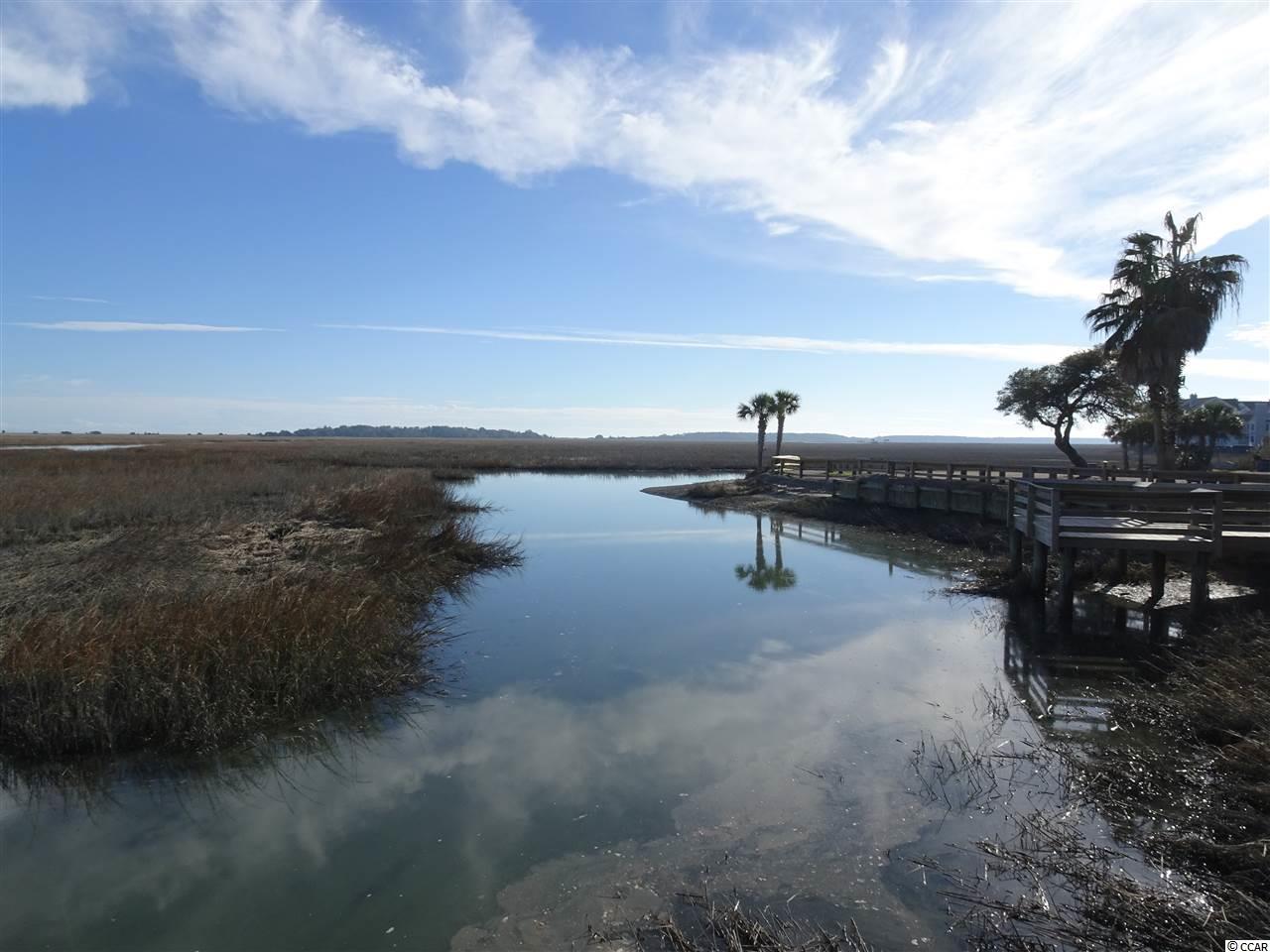 215 Chesapeake Lane Murrells Inlet, SC 29576 - Photo 22 of 23 Gallery Image 22
