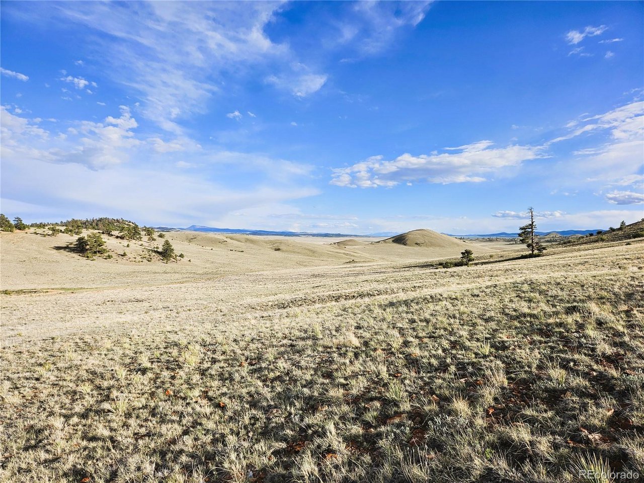 24142 Antero Road Hartsel, CO 80449 - Photo 12 of 48