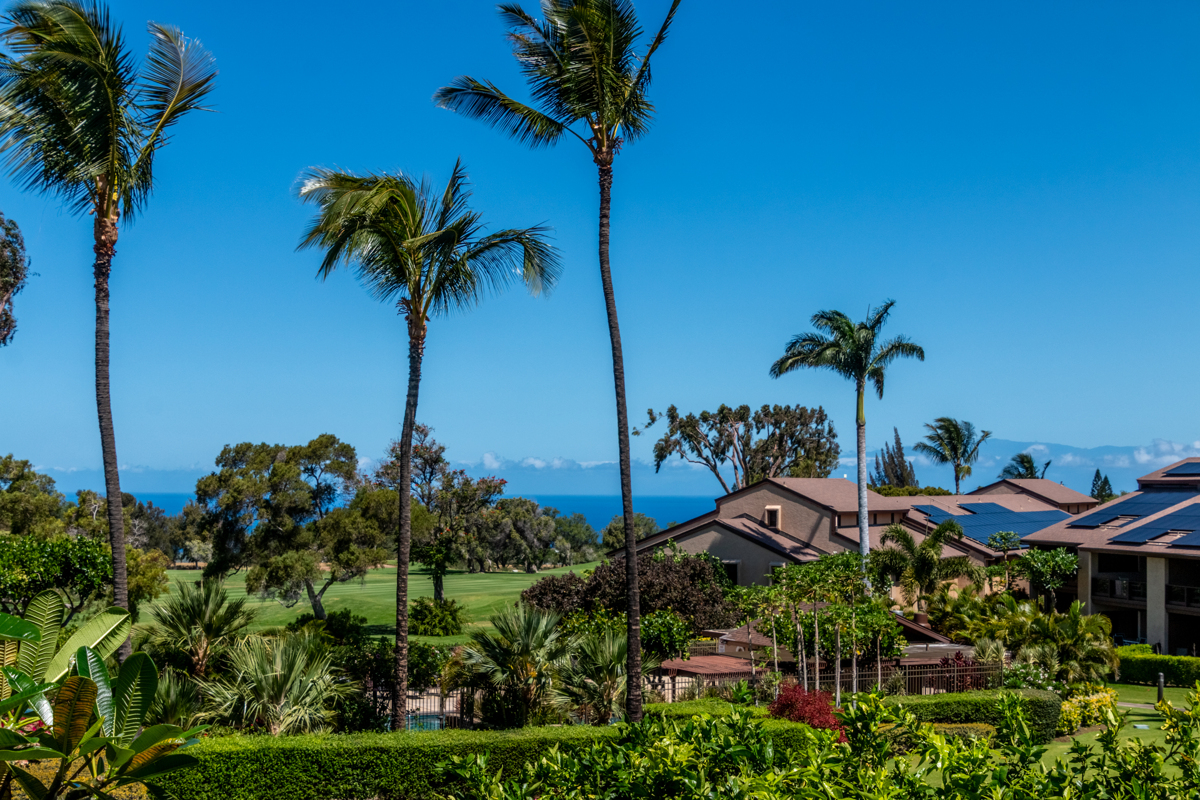 68-3840 Lua Kula Street, Unit D201 Waikoloa, HI 96738 - Photo 15 of 30 a view of an outdoor space with a table and chairs