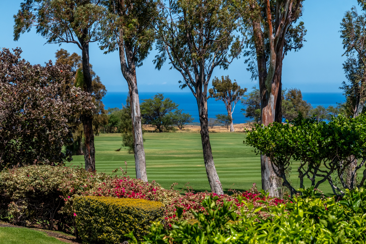 68-3840 Lua Kula Street, Unit D201 Waikoloa, HI 96738 - Photo 25 of 30 a green field with lots of flowers in it