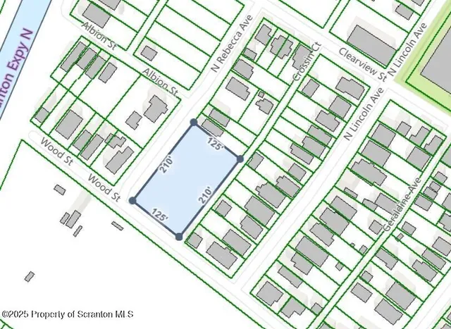 a view of a garden with a potted plants