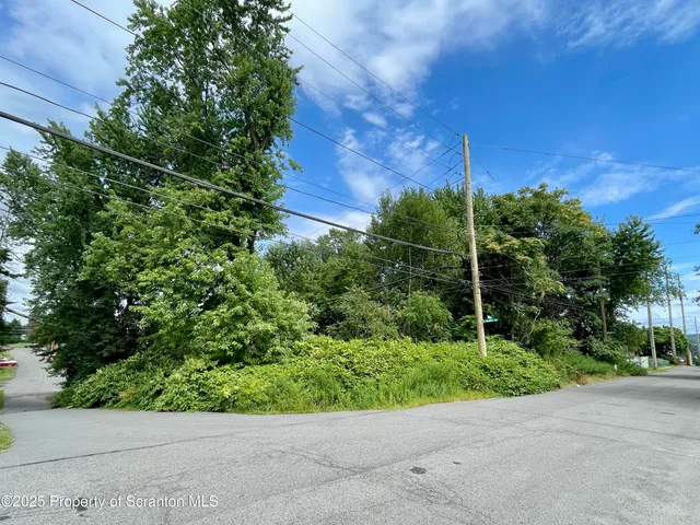 a view of a garden with plants