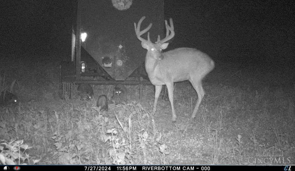 A Enley Road McDermott, OH 45652 - Photo 59 of 97