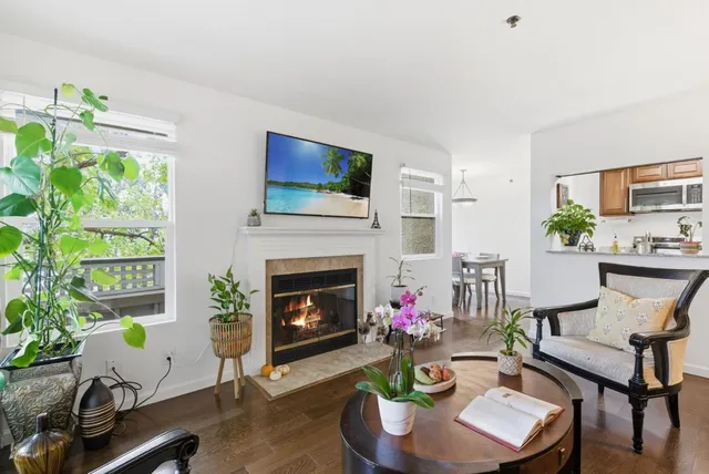 a living room with furniture a flat screen tv and a fireplace