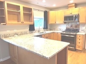 556 Barton Avenue, Unit 2 Evanston, IL 60202 - Photo 6 of 19 a kitchen with granite countertop sink and cabinets