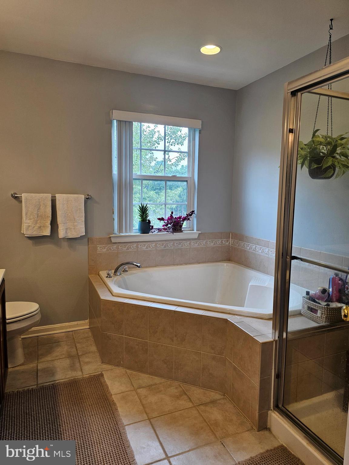 64 Milestone Court Chambersburg, PA 17201 - Photo 48 of 59 Enormous en suite bath with luxurious soaking tub.
