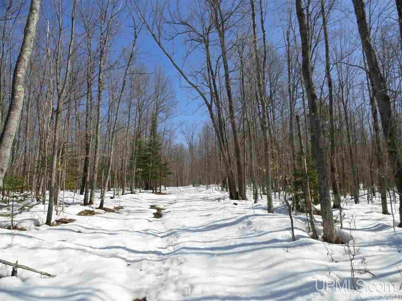 240-acres Leek Road Covington, MI 49919 - Photo 11 of 50