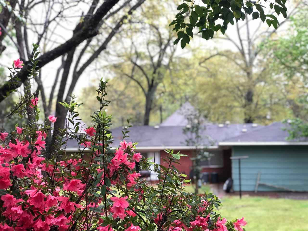 4545 Ridgewood Road Jackson, MS 39211 - Photo 8 of 21 Photo 8