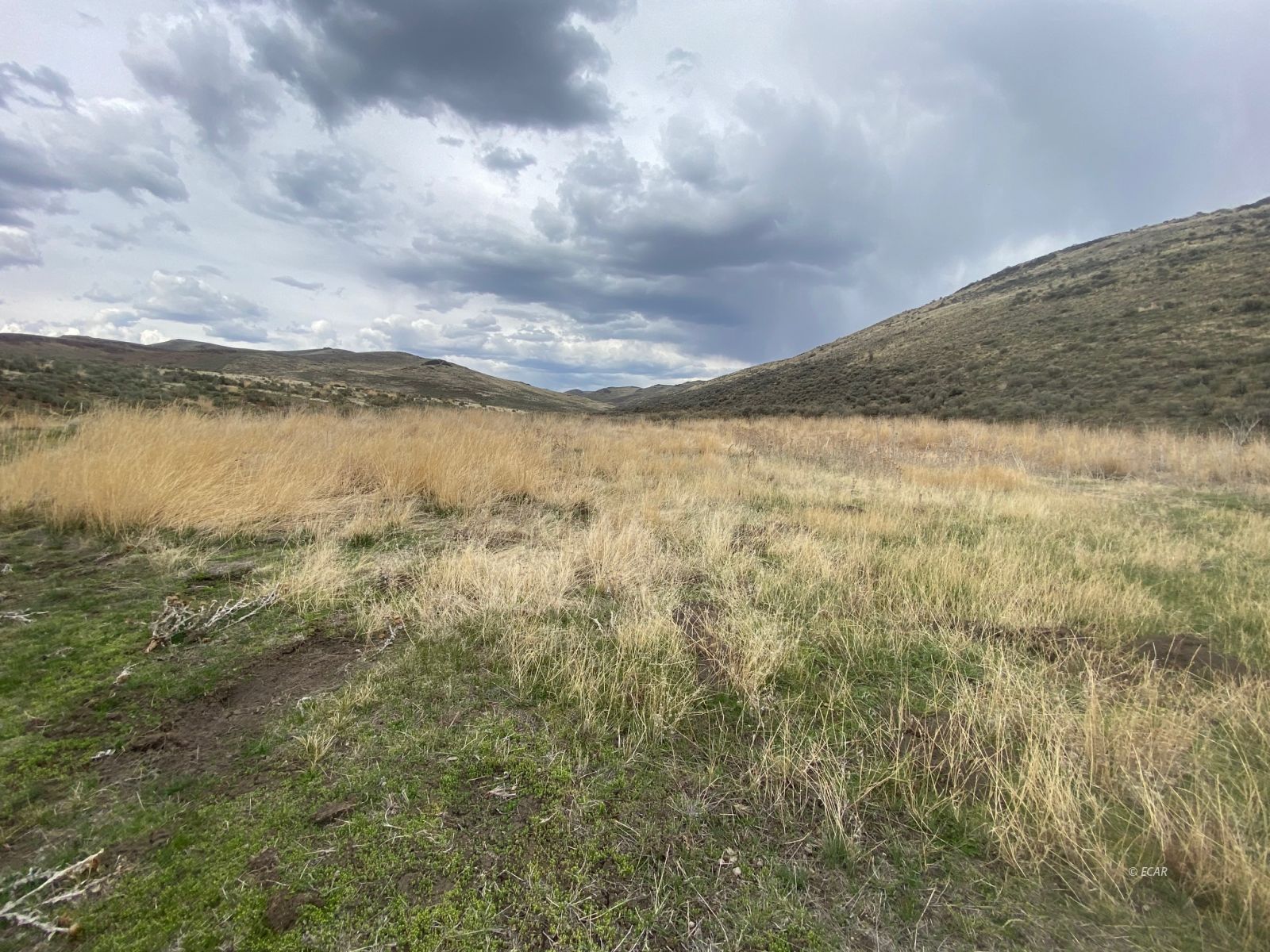 80-acres Charleston Road Deeth, NV 89823 - Photo 46 of 47